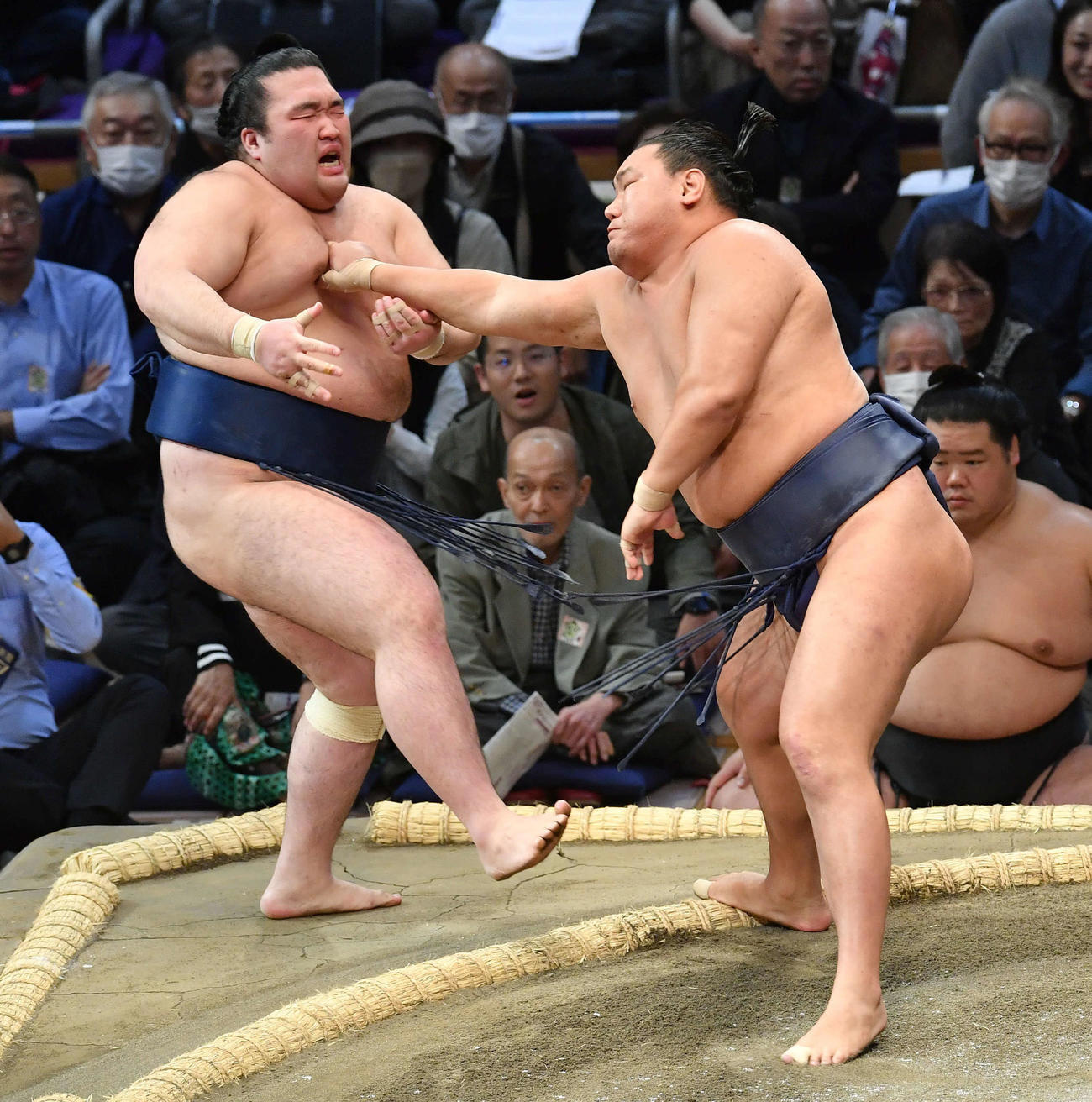 豊昇龍（右）は豪ノ山を押し出しで破る（撮影・岩下翔太）