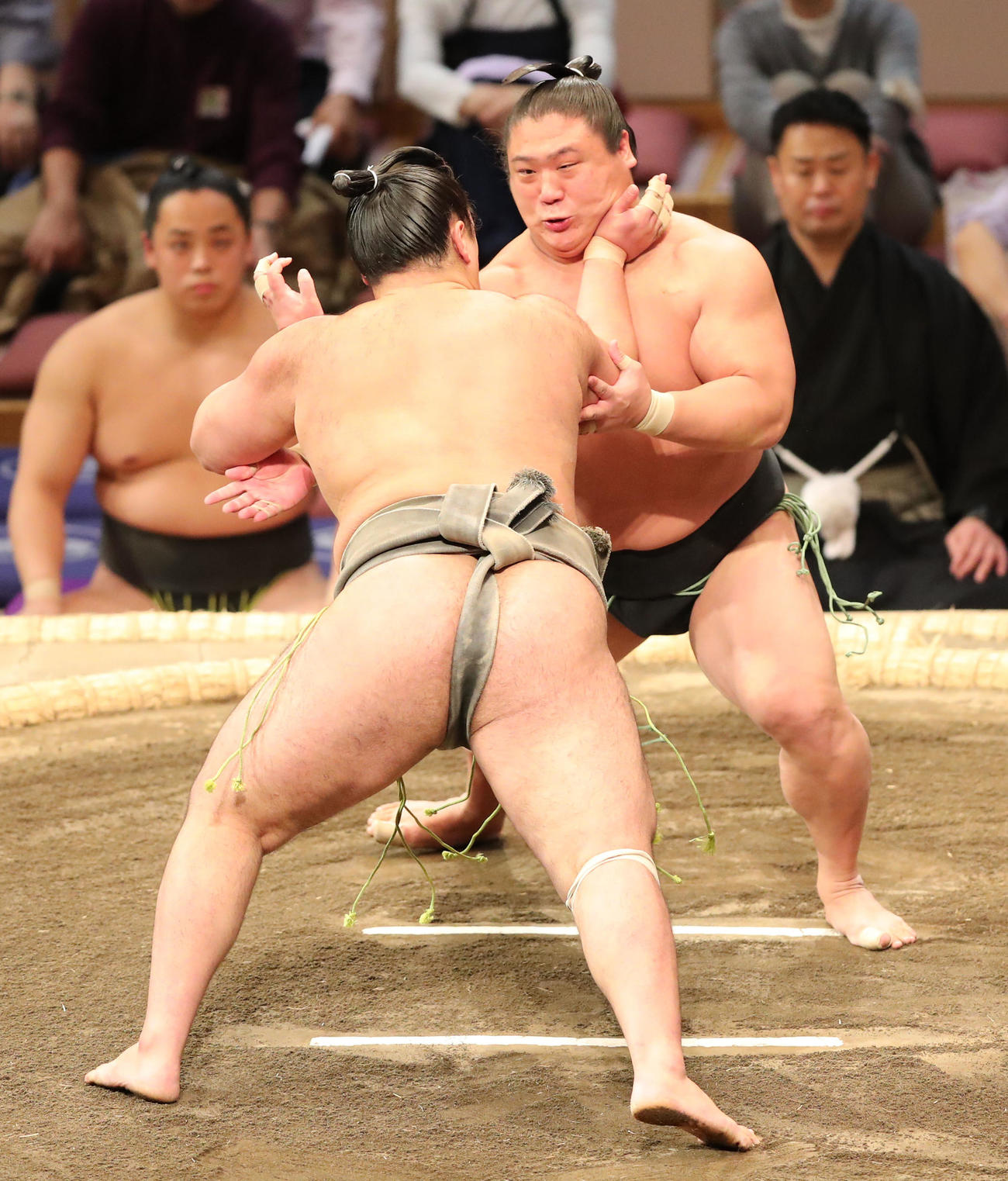 大相撲九州場所9日目　押し出しで大辻を破った若隆景（奥）（撮影・梅根麻紀）