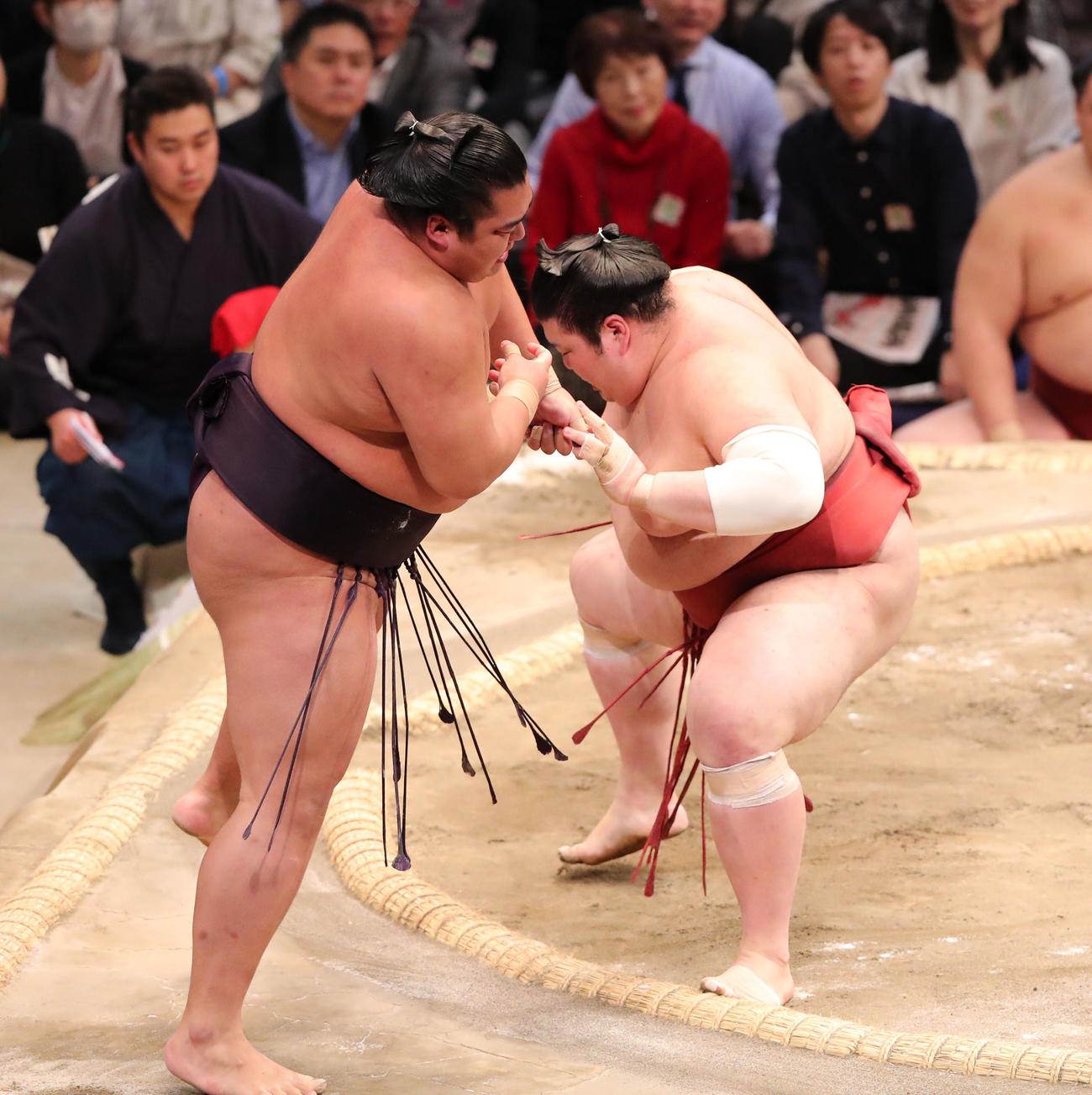大相撲九州場所10日目　押し出しで湘南乃海を破る熱海富士（撮影・梅根麻紀）