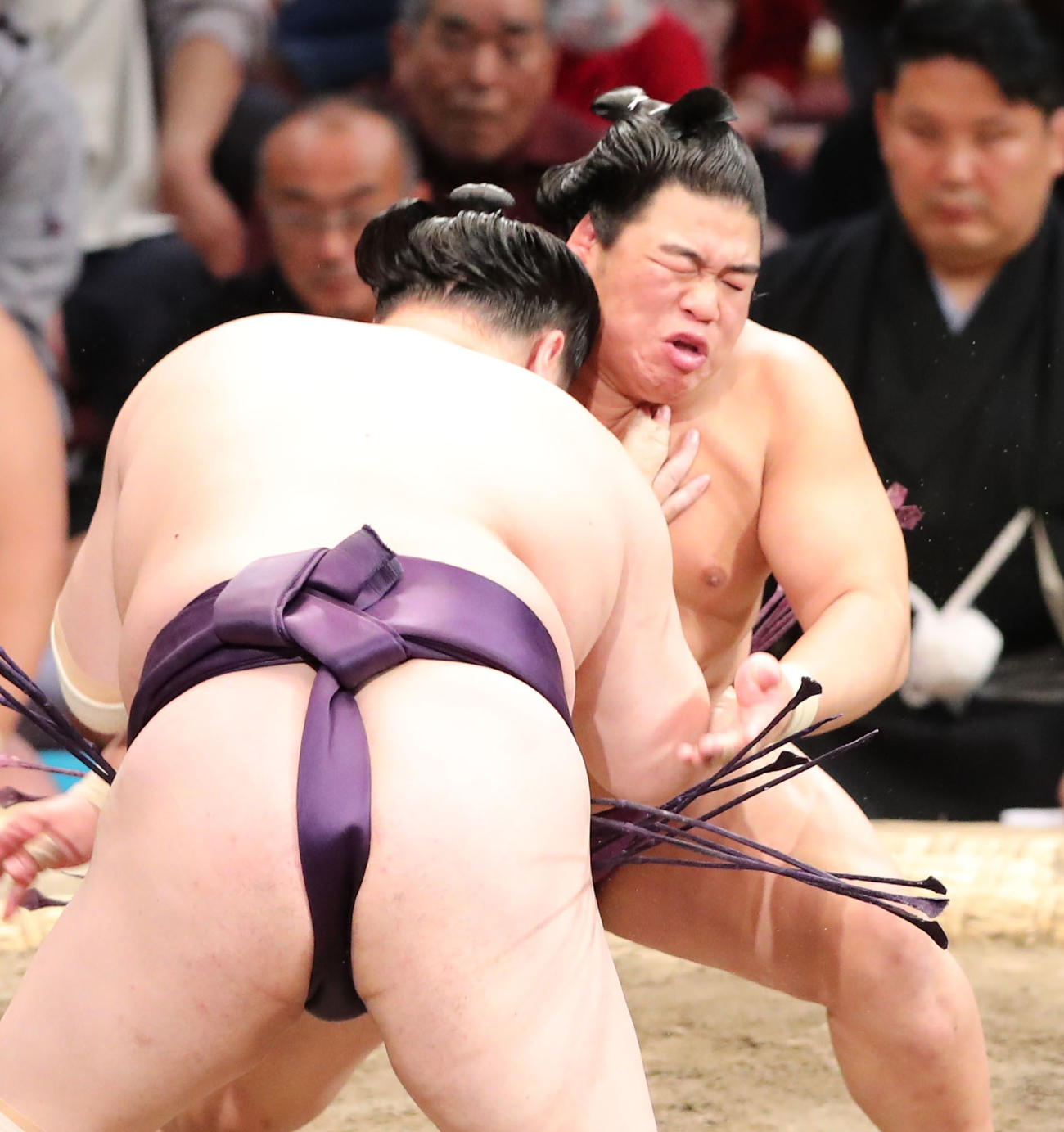 大相撲九州場所10日目　寄り切りで一山本を破る平戸海（撮影・梅根麻紀）