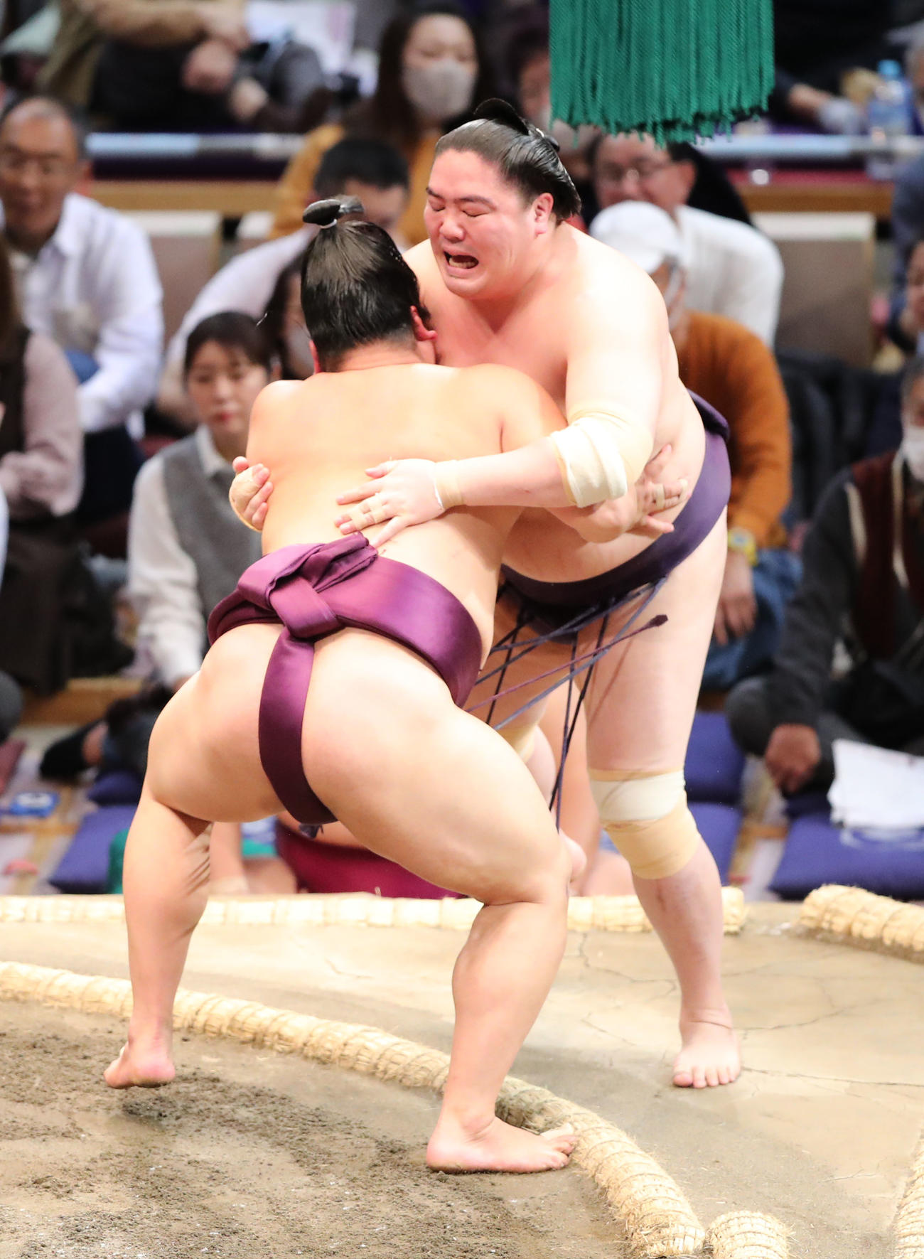 大相撲九州場所10日目　寄り切りで一山本を破る平戸海（撮影・梅根麻紀）