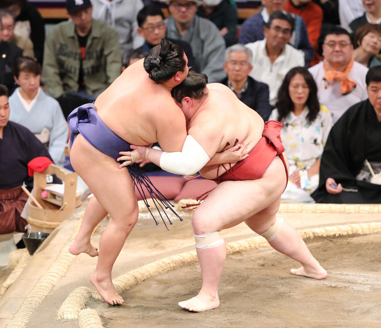 大相撲九州場所11日目　押し出しで美ノ海を破る熱海富士（撮影・梅根麻紀）