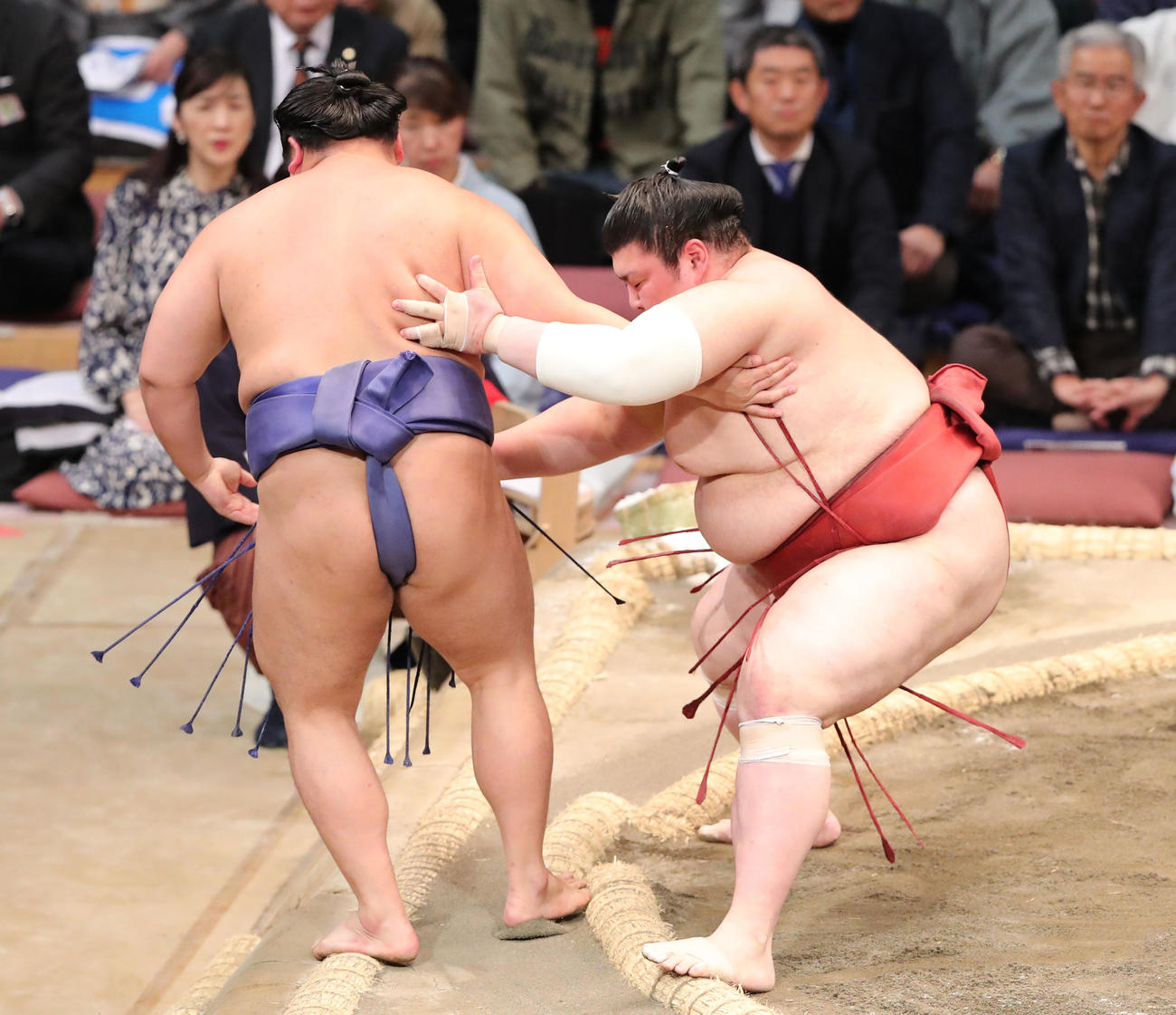 大相撲九州場所11日目　押し出しで美ノ海を破る熱海富士（撮影・梅根麻紀）