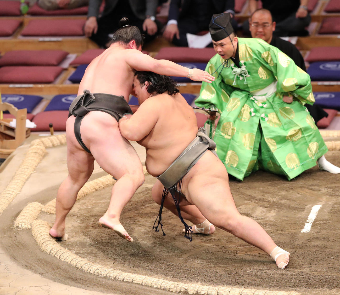 大相撲九州場所13日目　押し出しで北はり磨を破る聖富士（撮影・梅根麻紀）