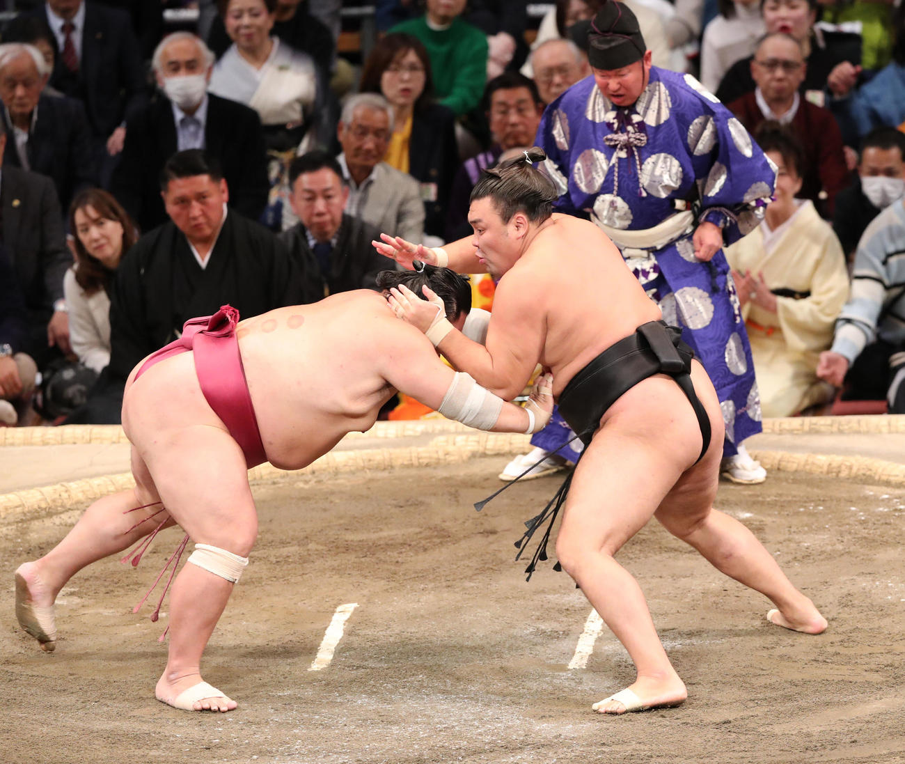 大相撲九州場所13日目　はたき込みで大栄翔を破る霧島（右）（撮影・梅根麻紀）