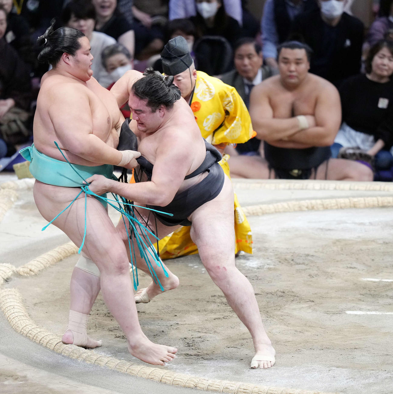 竜電は琴ノ若（左）を寄り切りで破る（撮影・小沢裕）