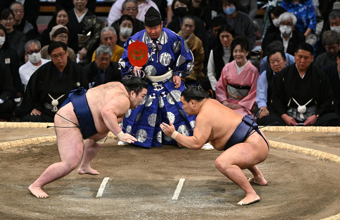 大相撲九州場所　5日目　仕切り直して立ち会う豊昇龍（右）と豪ノ山（2023年11月16日撮影）