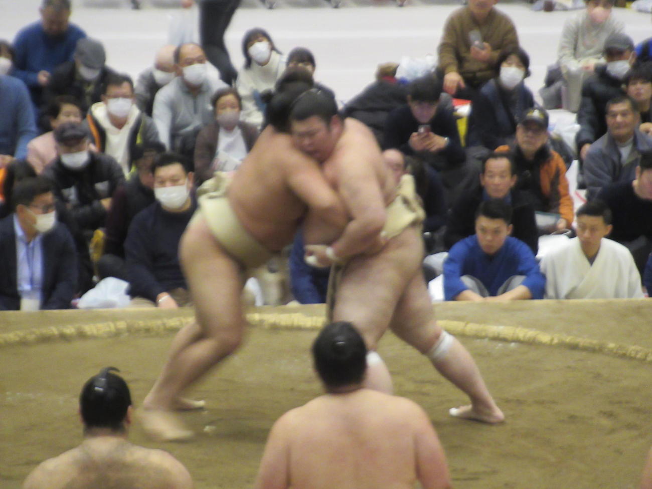 大関霧島（左）に胸を借りる熱海富士（撮影・実藤健一）