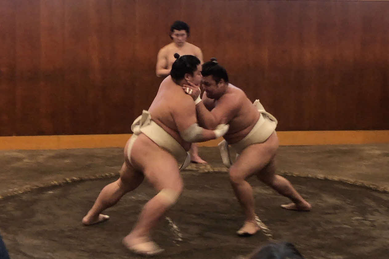 大栄翔（左）と相撲を取る大関霧島（撮影・平山連）