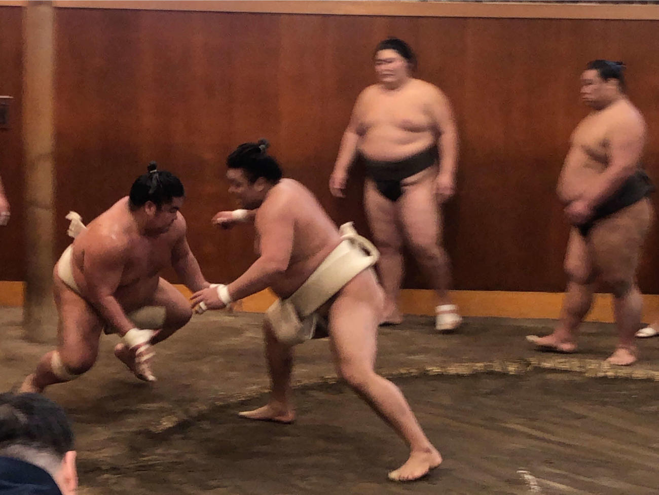 大栄翔（左）に胸を出す大関霧島（撮影・平山連）