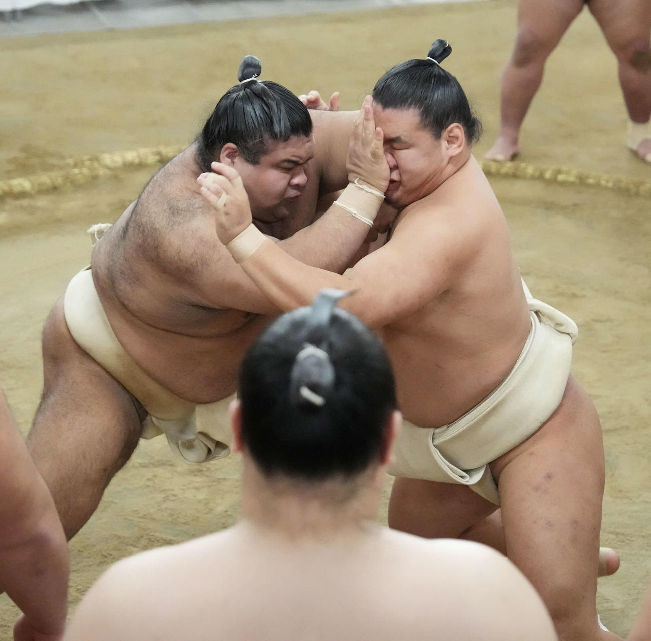 申し合い稽古する高安（左）と豊昇龍（撮影・小沢裕）