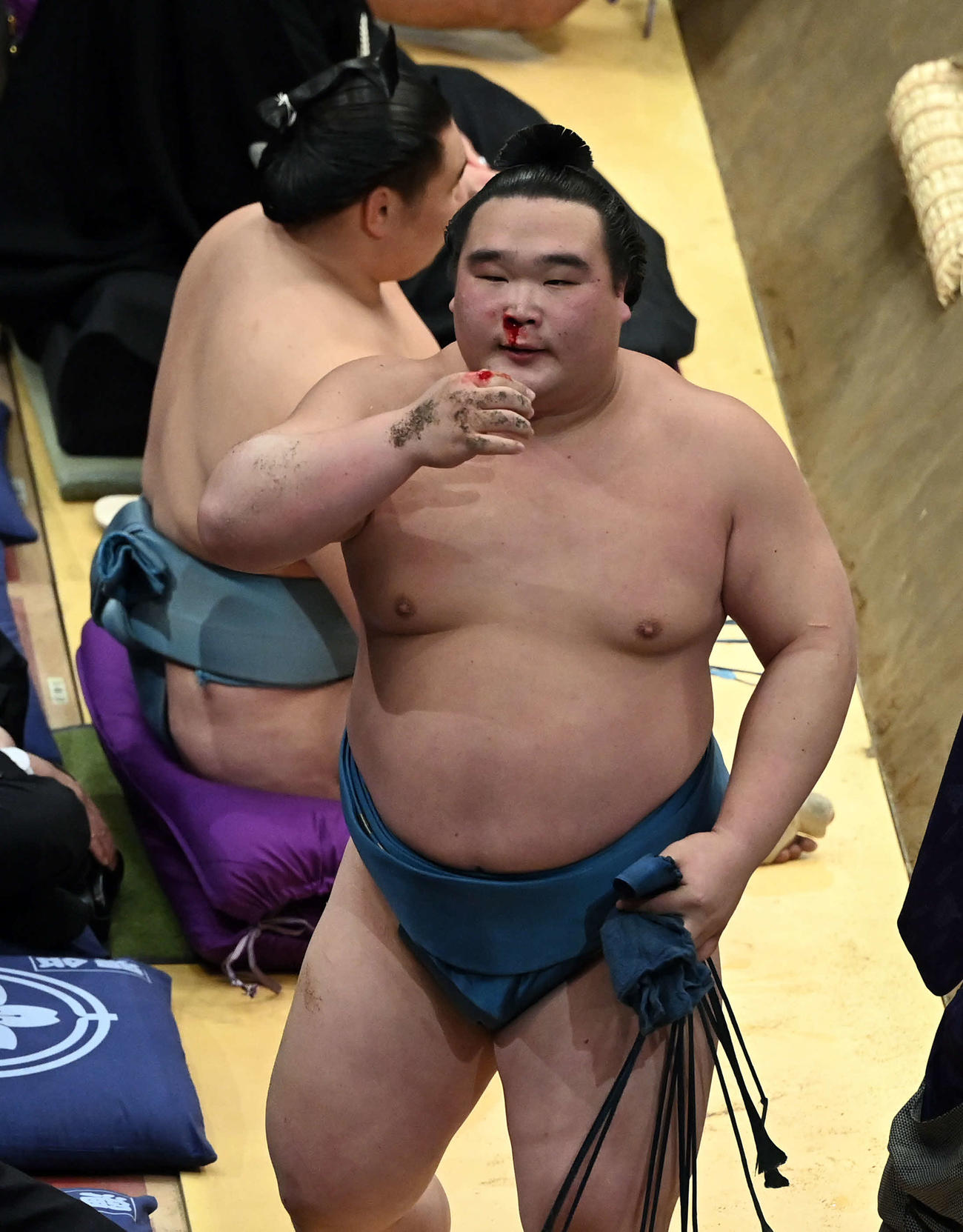 時疾風に敗れた白熊（撮影・たえ見朱実）