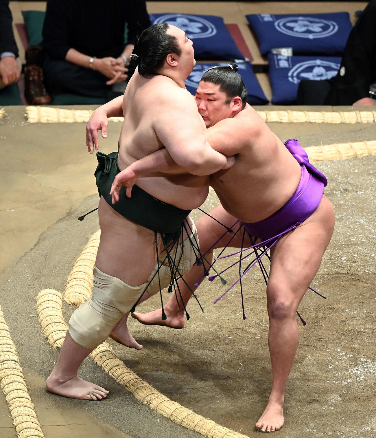 白鷹山を寄り切りで破る尊富士（右）（撮影・たえ見朱実）