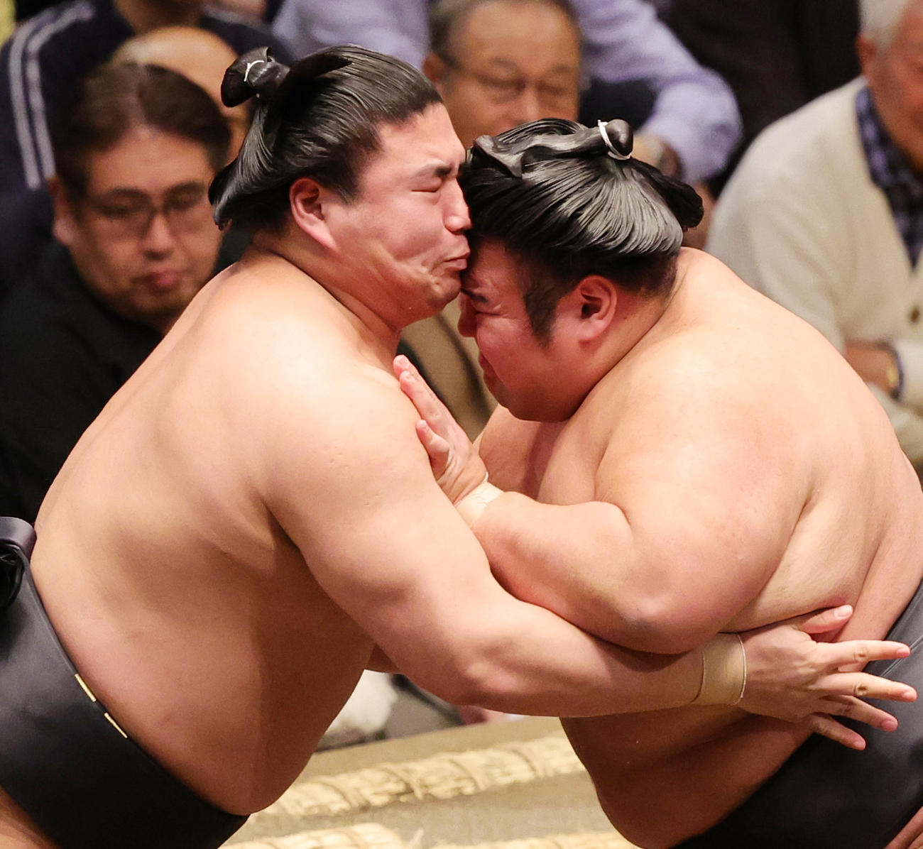 貴景勝（右）とぶつかり合う若元春（撮影・野上伸悟）