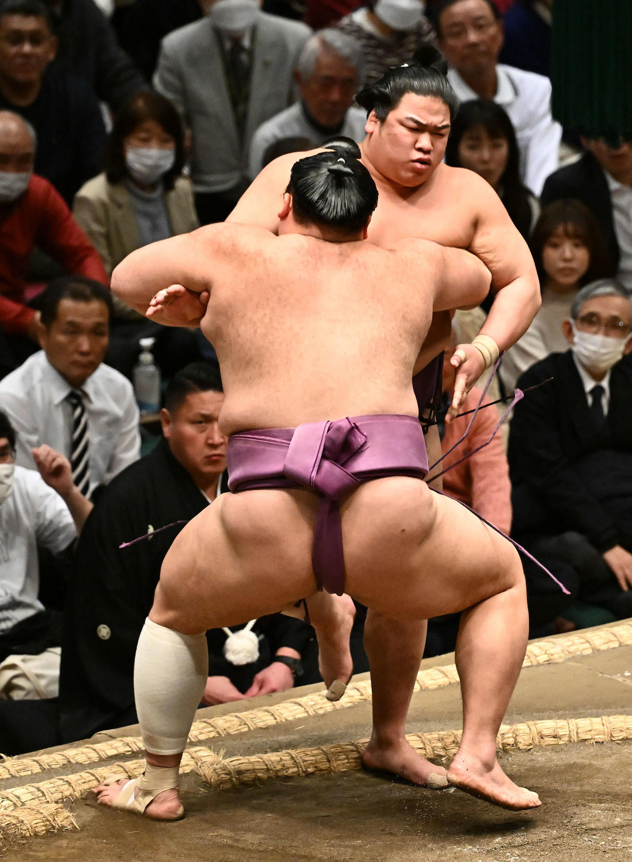 朝乃山（手前）に寄り切りで敗れた平戸海（撮影・滝沢徹郎）