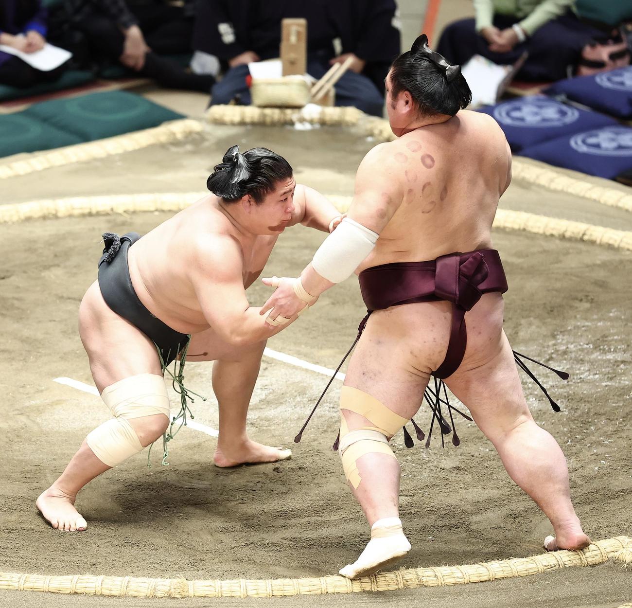 若隆景（左）は押し出しで千代栄破る（撮影・河田真司）