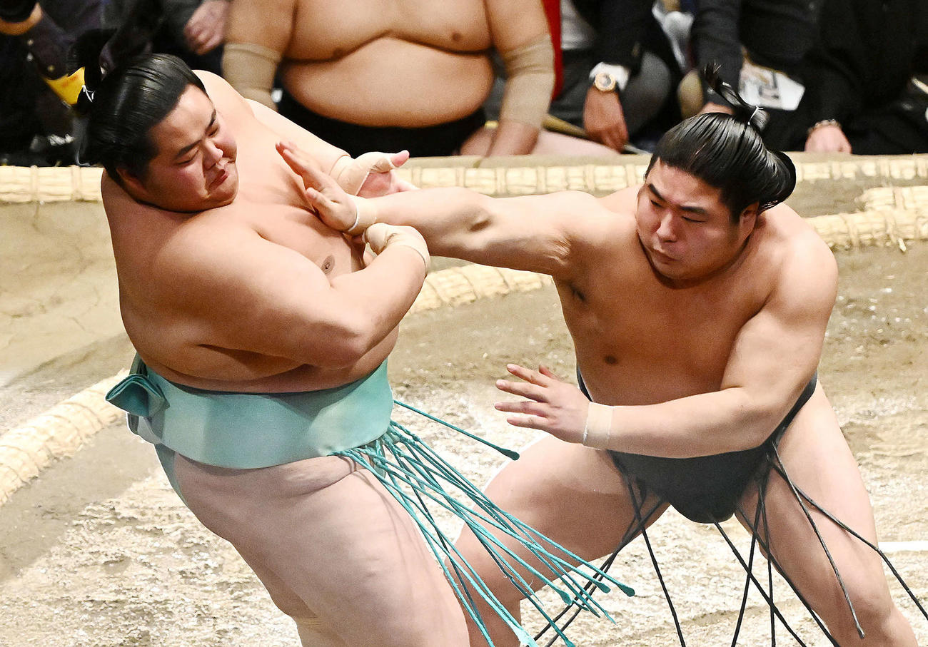 若元春（右）は琴ノ若を押し出しで破る（撮影・滝沢徹郎）