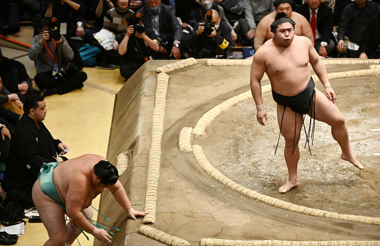 若元春（右）は琴ノ若を押し出しで破る（撮影・滝沢徹郎）