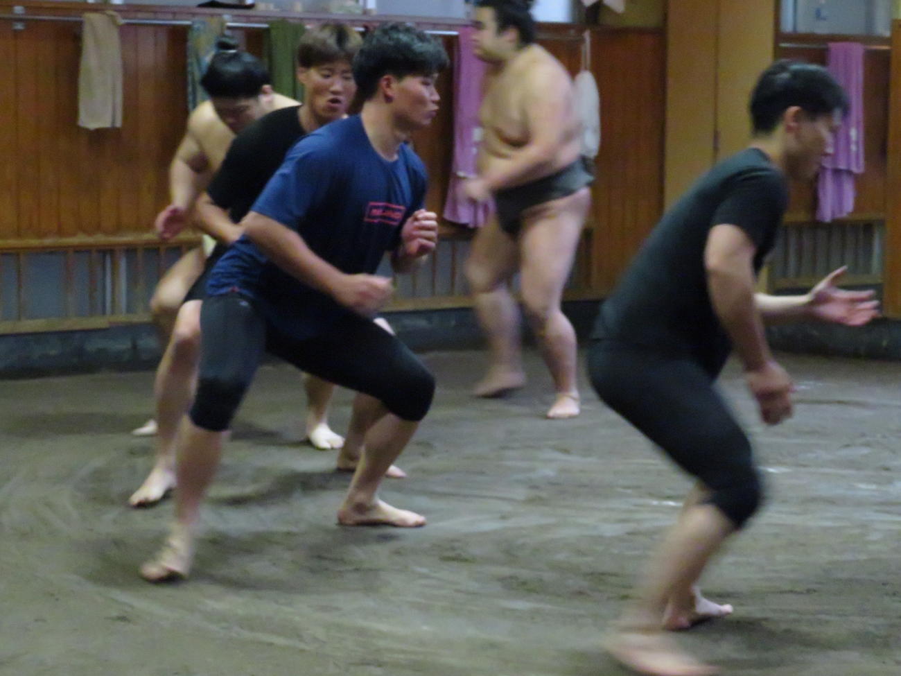 高砂部屋の朝稽古で力士と一緒にすり足を繰り返した阪神森下（中央）