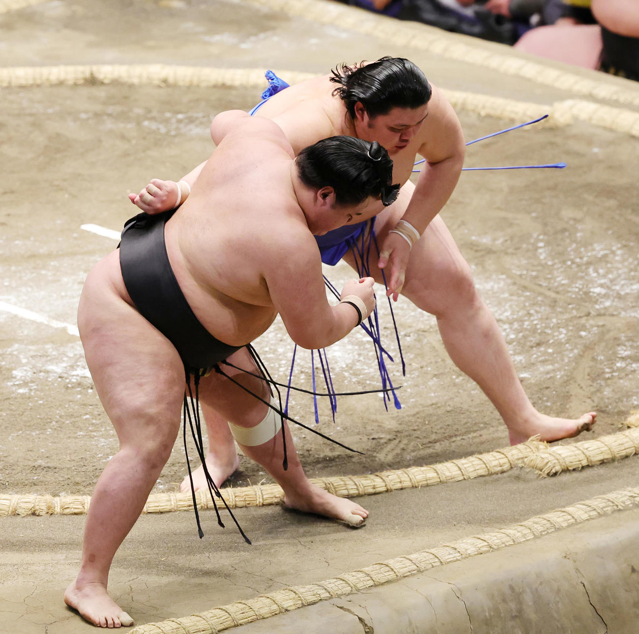 明生（手前）を寄り切りで破る大の里（撮影・野上伸悟）