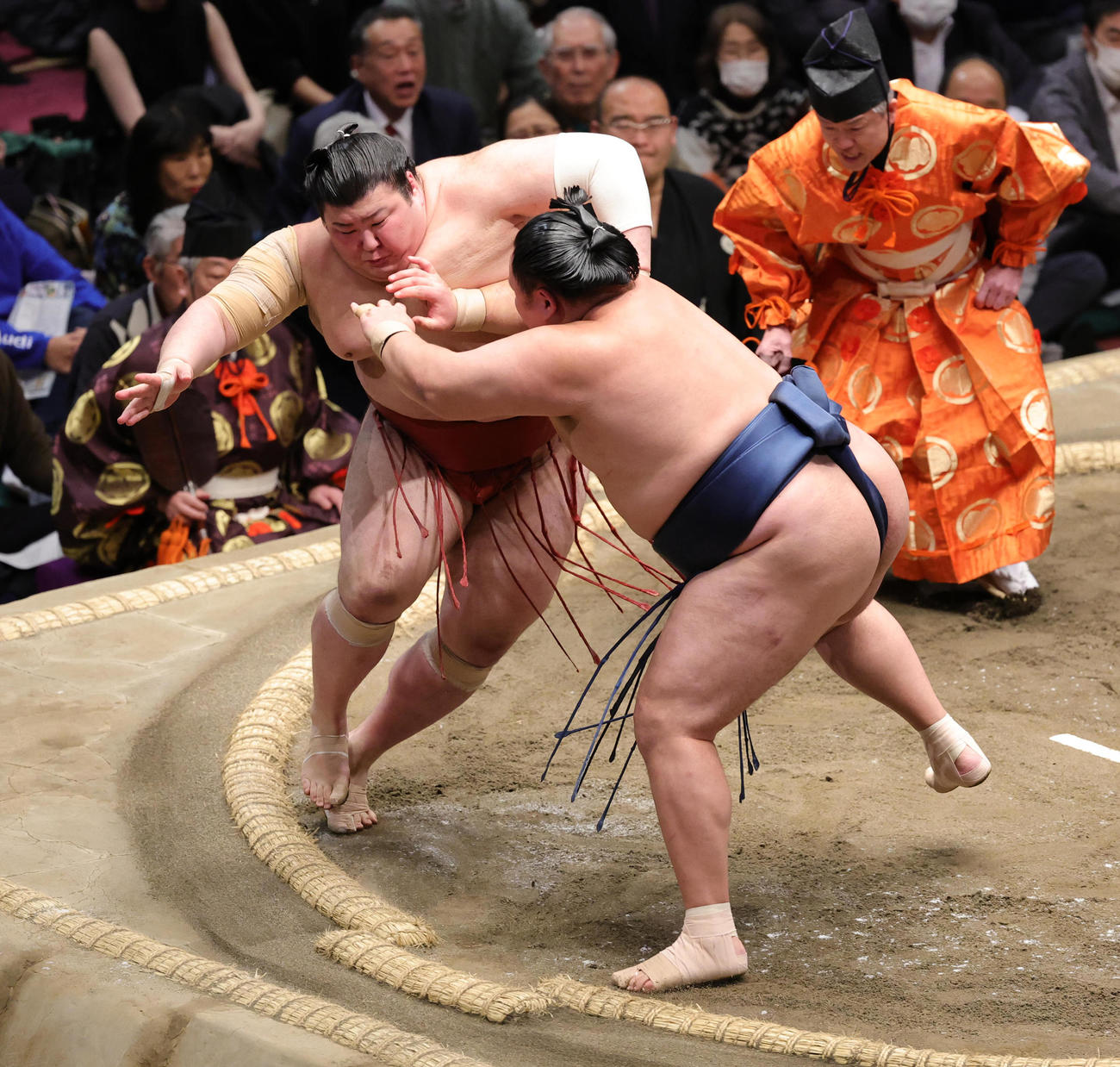 玉鷲（右）に押し込まれるも粘る熱海富士（撮影・野上伸悟）