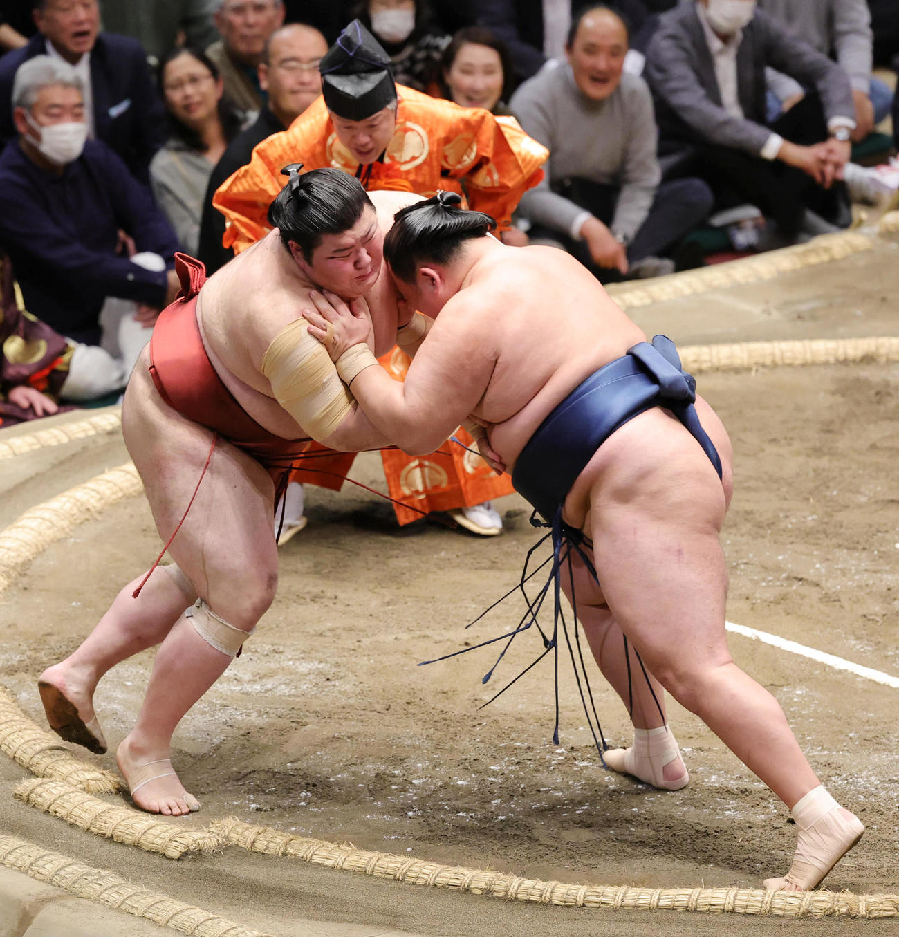 玉鷲（右）に押し込まれるも粘る熱海富士（撮影・野上伸悟）