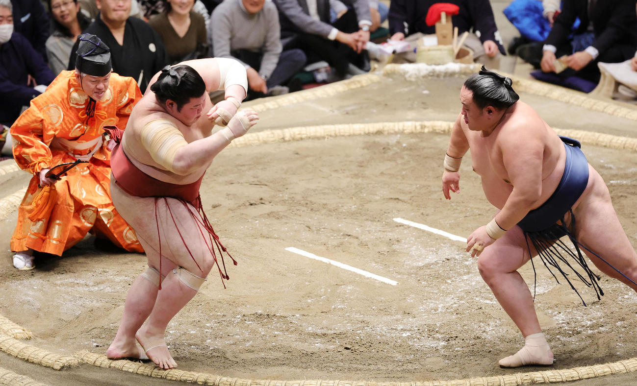 玉鷲（右）に押し込まれるも粘る熱海富士（撮影・野上伸悟）