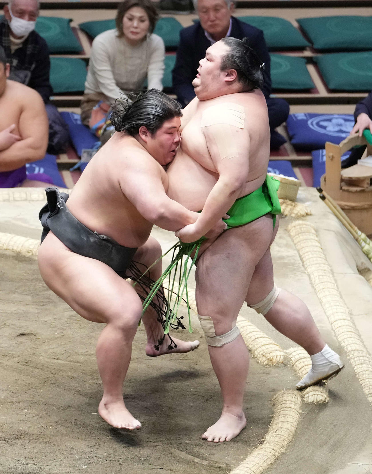 千代丸（右）を寄り切りで破る伯桜鵬（撮影・小沢裕）