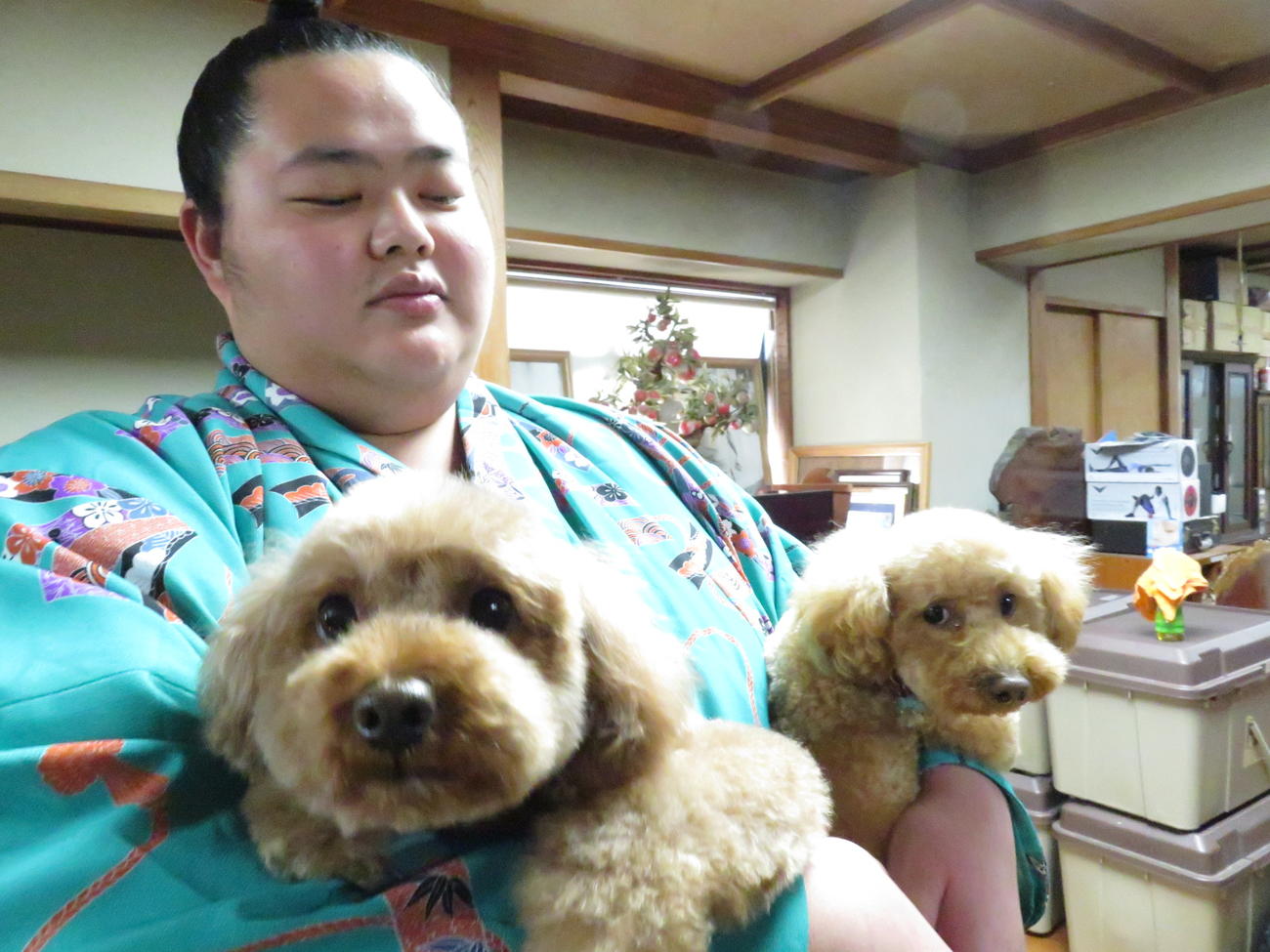 会見後、師匠の佐渡ケ嶽親方の愛犬チェリー（右）と桜子（左）を抱きかかえる琴ノ若