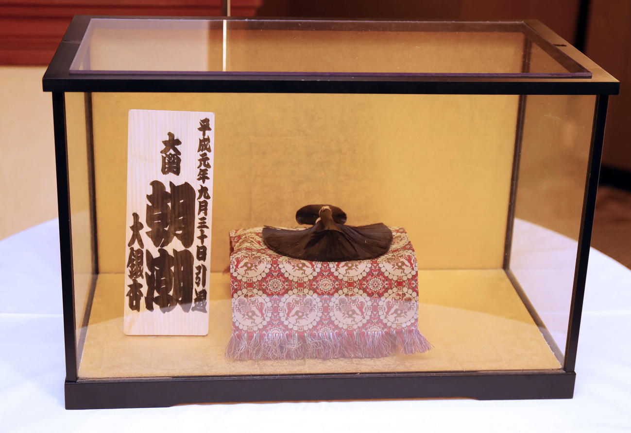 元大関朝潮（先代高砂親方）の長岡末弘さんお別れの会で、会場に展示された大銀杏（おおいちょう）（撮影・野上伸悟）