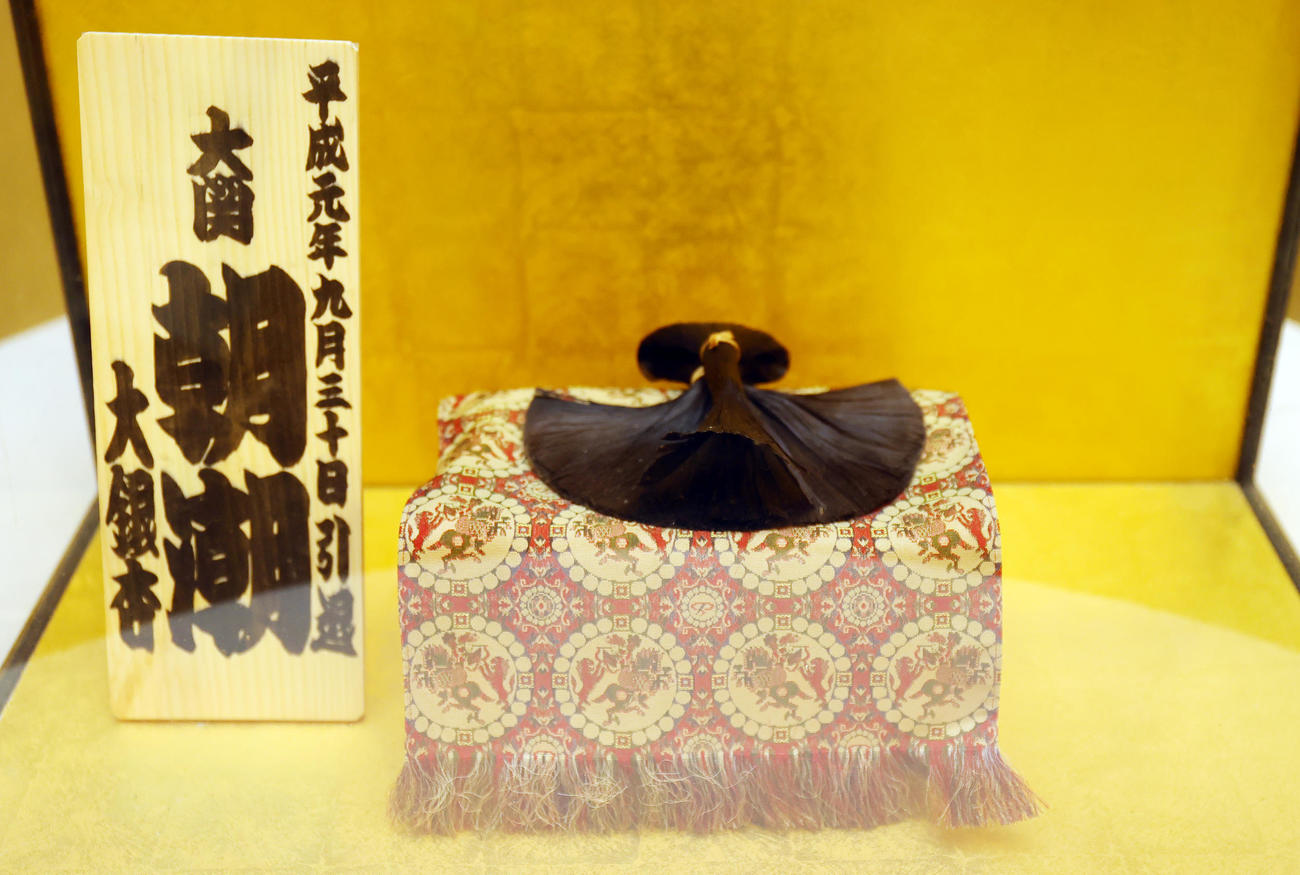 元大関朝潮（先代高砂親方）の長岡末弘さんお別れの会で、会場に展示された大銀杏（おおいちょう）（撮影・野上伸悟）