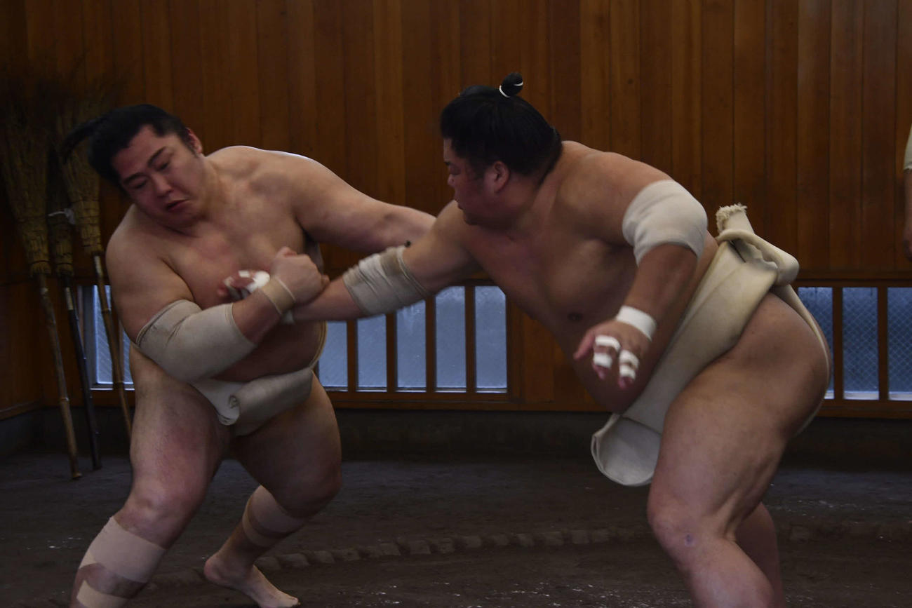 相撲を取る遠藤（左）と大栄翔（撮影・平山連）