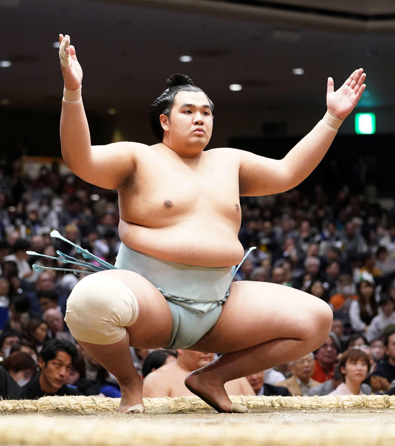 北青鵬