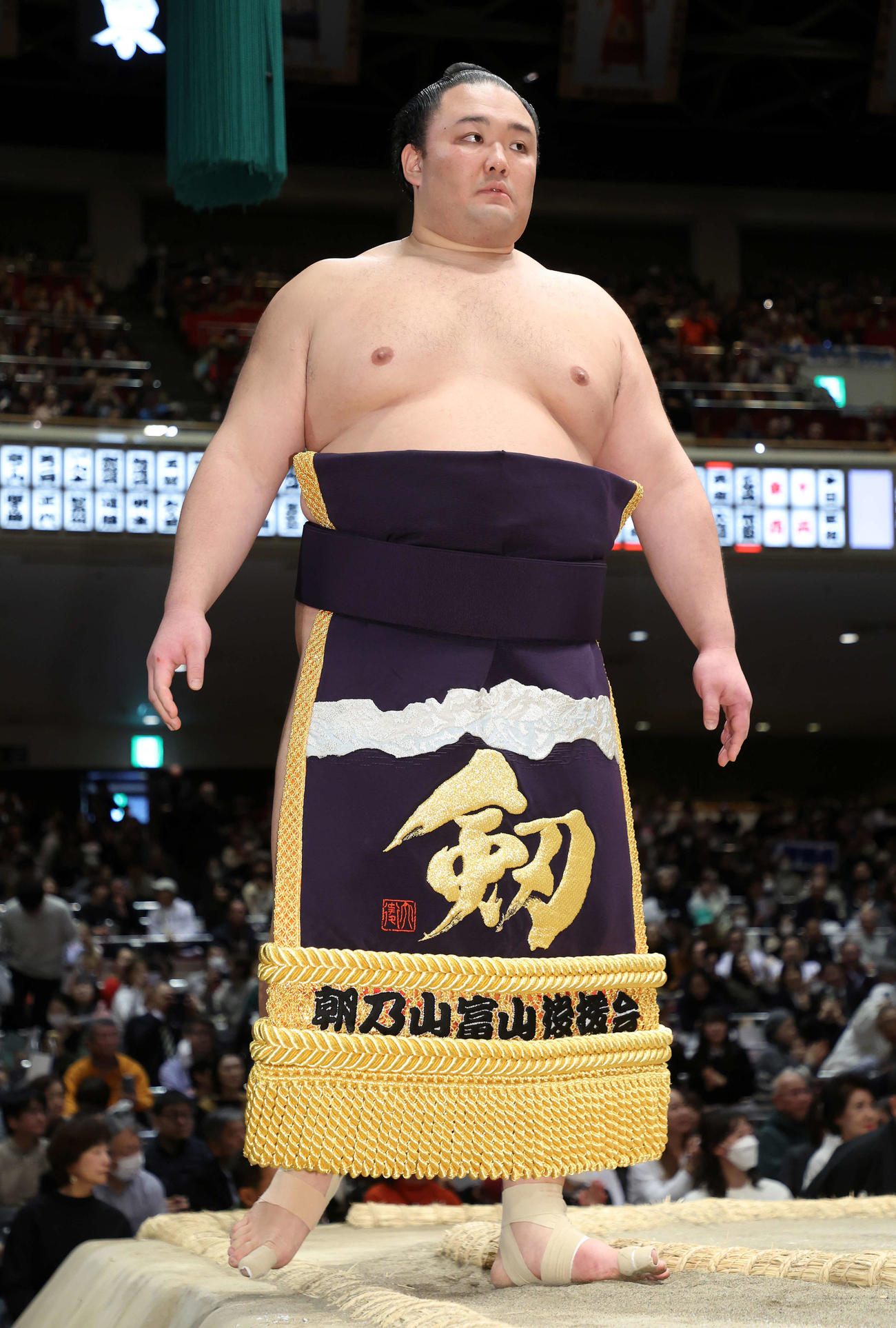 朝乃山（2024年1月撮影）