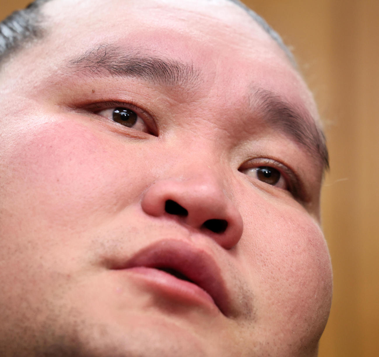 大相撲春場所の番付が発表され記者会見する横綱照ノ富（撮影・加藤哉）