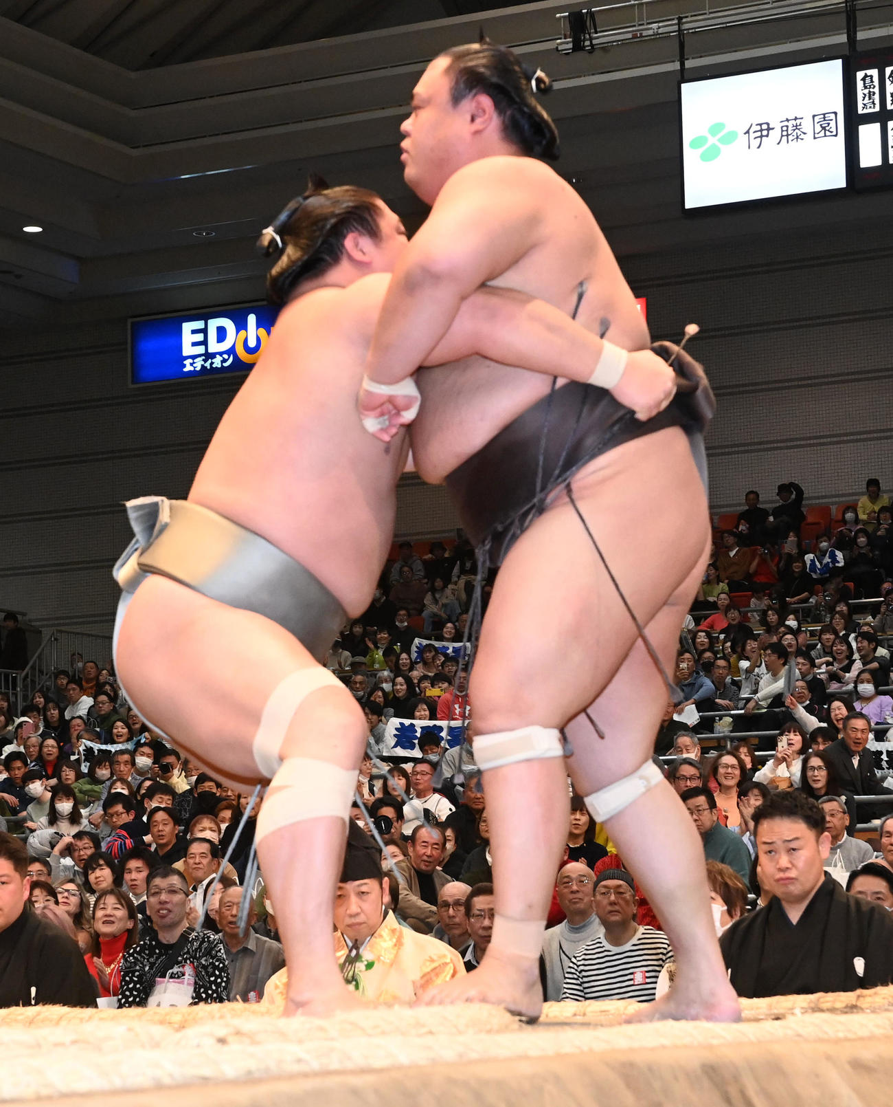 若隆景（左）は英乃海を寄り切りで破る（撮影・前岡正明）