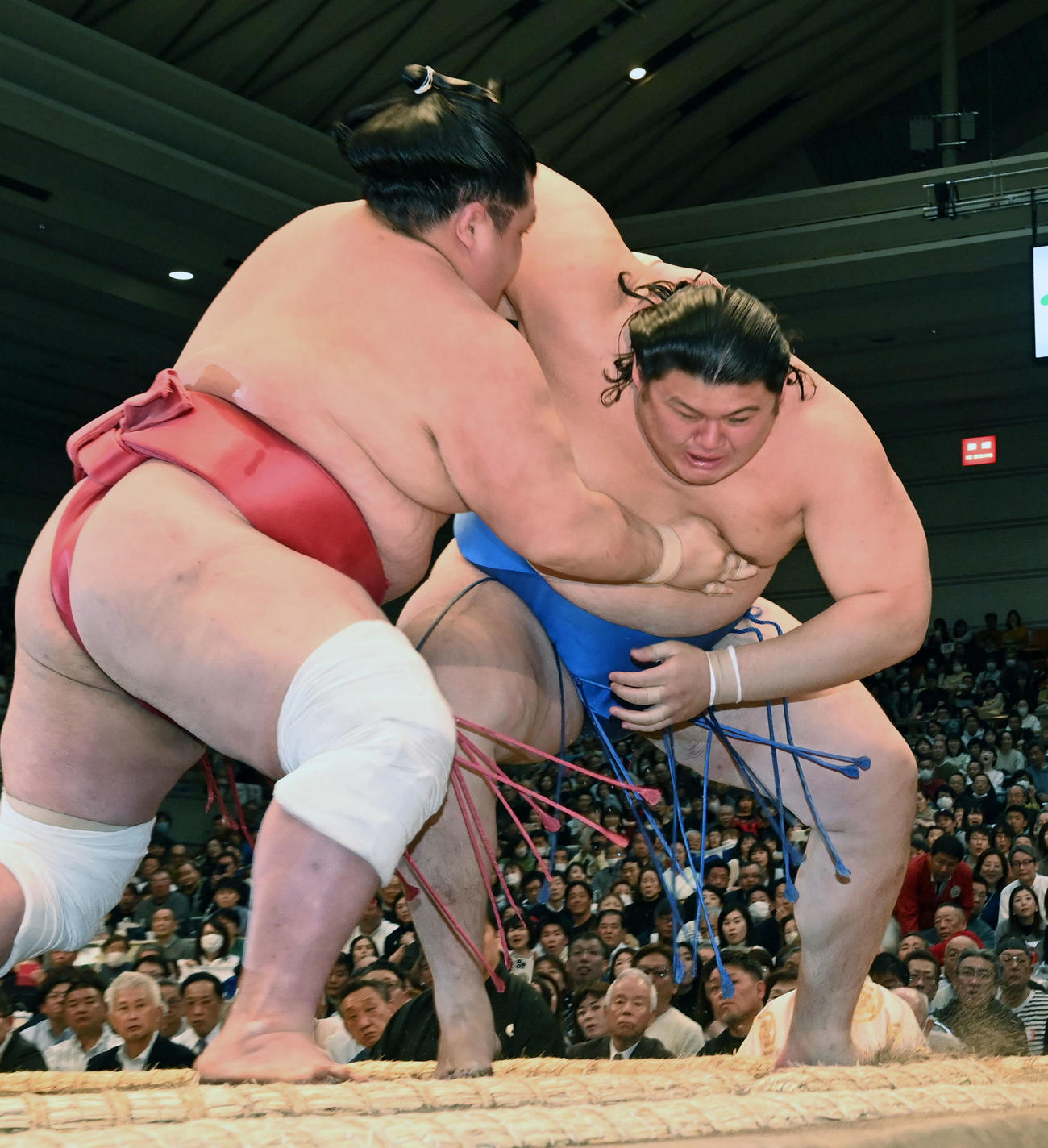 阿武咲（左）にすくい投げで敗れた大の里（撮影・前岡正明）