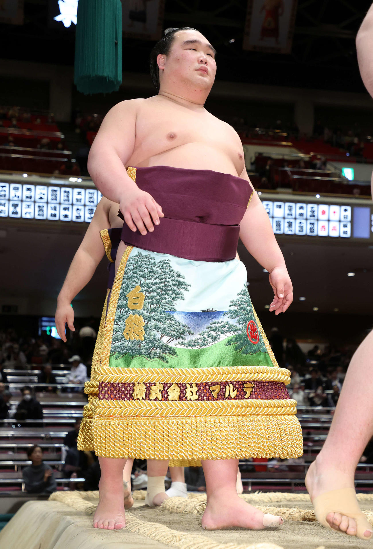 白熊（2024年1月撮影）