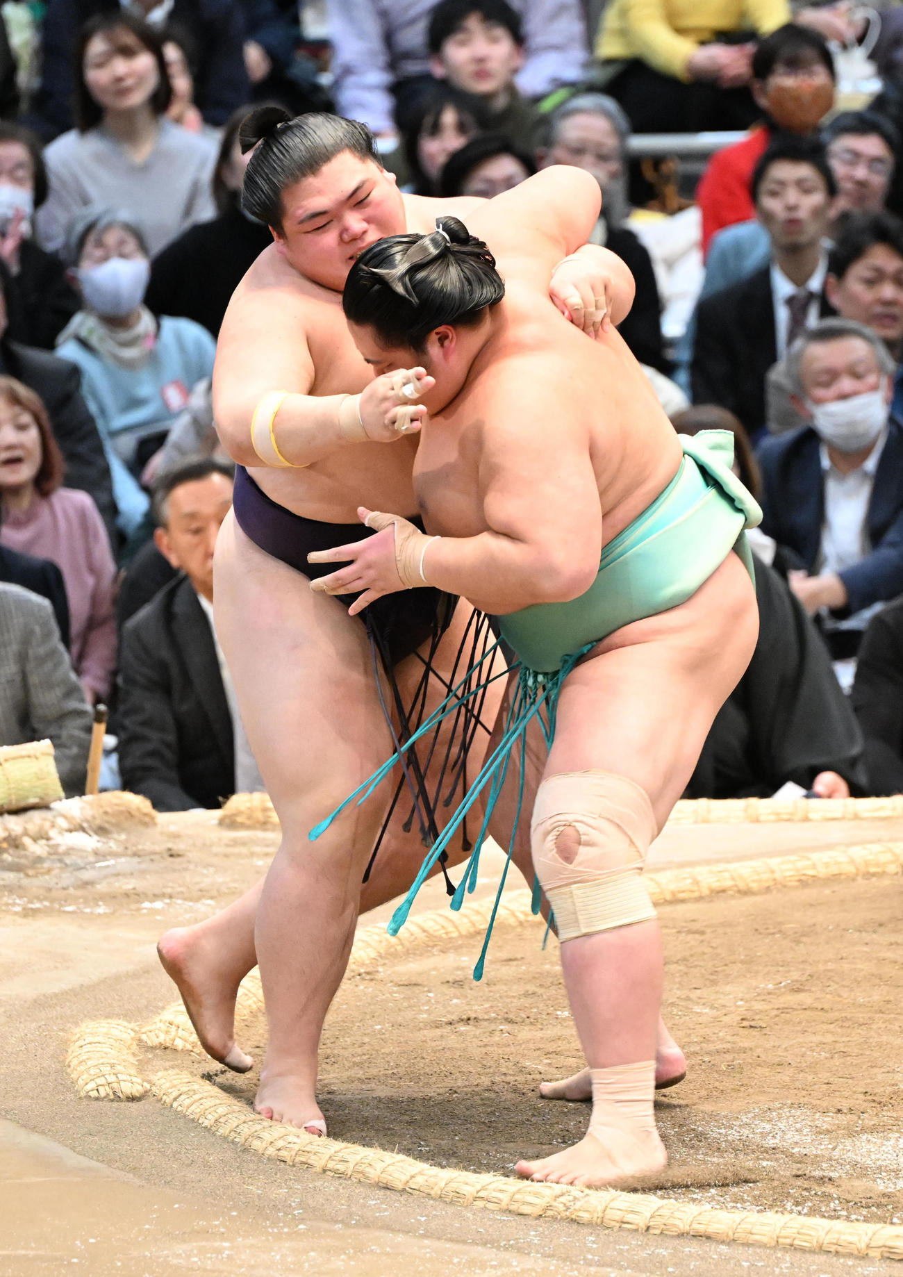 王鵬（左）を寄り切りで破る琴ノ若（撮影・和賀正仁）