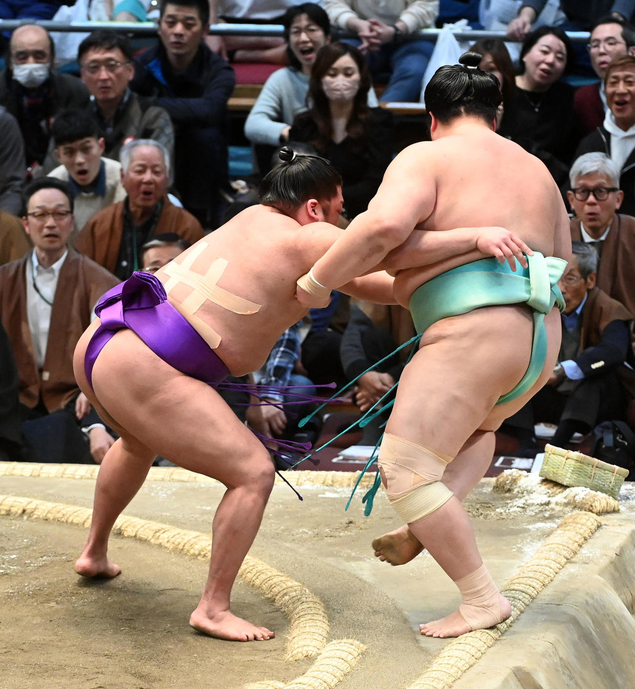 尊富士（左）は琴ノ若を寄り切りで破（撮影・前岡正明）