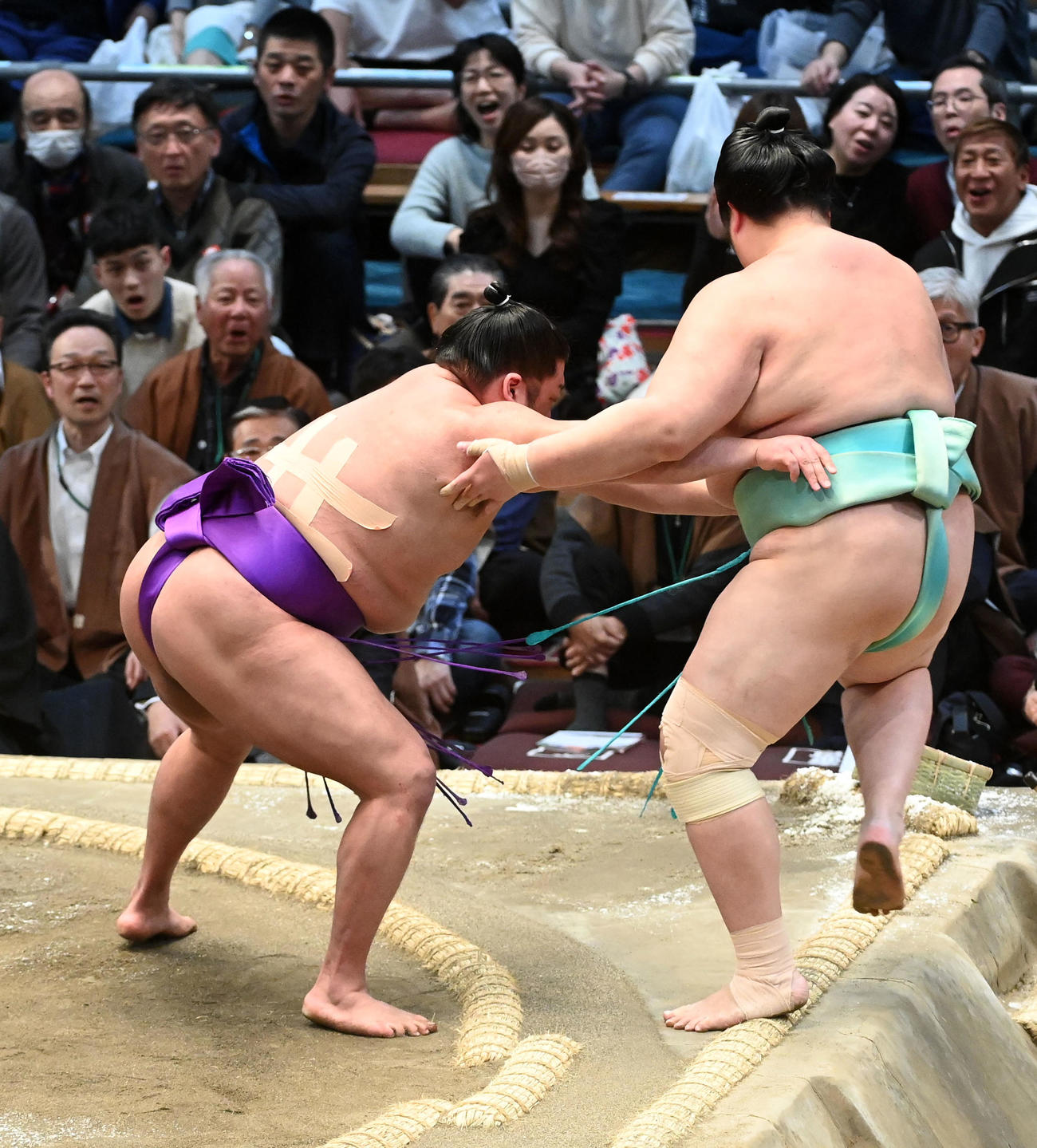 尊富士（左）は琴ノ若を寄り切りで破（撮影・前岡正明）