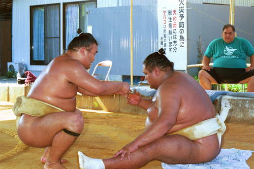 記憶を失った曙さんが涙をボロボロと…元若乃花の花田虎上氏、忘れられ