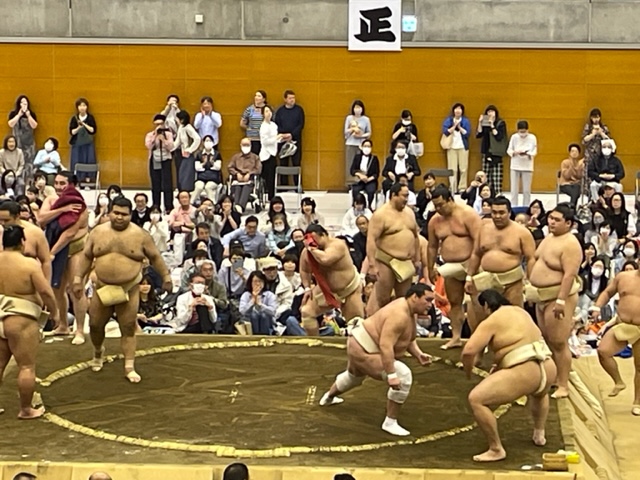 浦安巡業のぶつかり稽古で大の里（中）に胸を出す照ノ富士