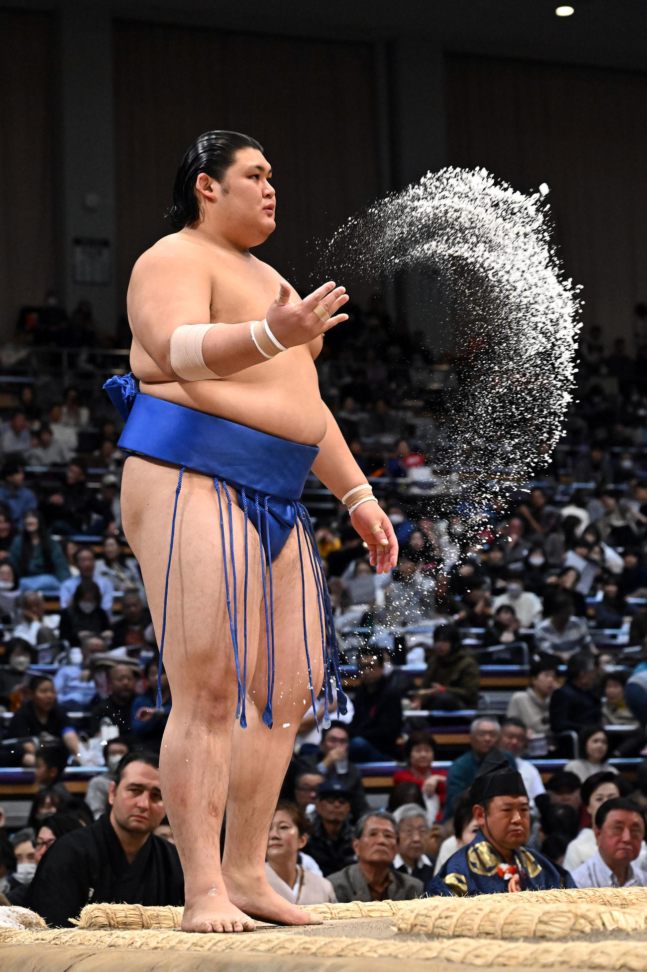 大の里（23年11月19日撮影）