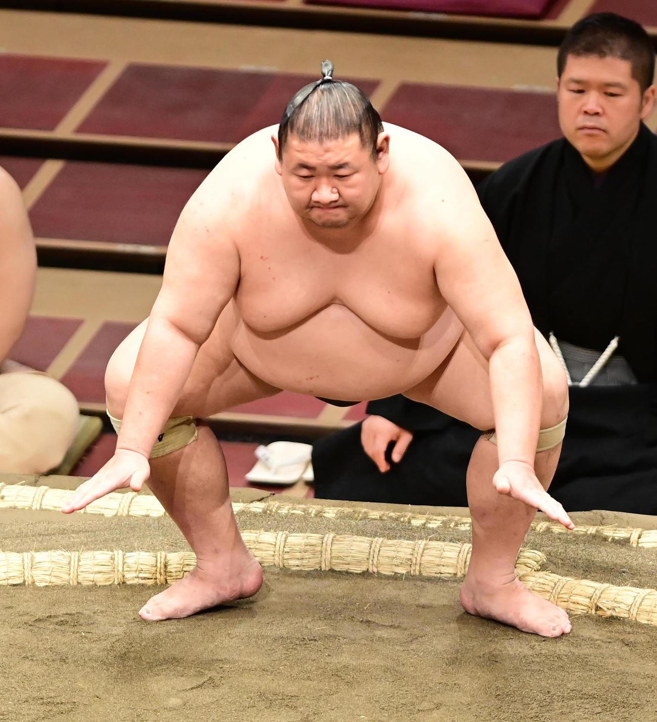 霧丸（2020年11月13日撮影）