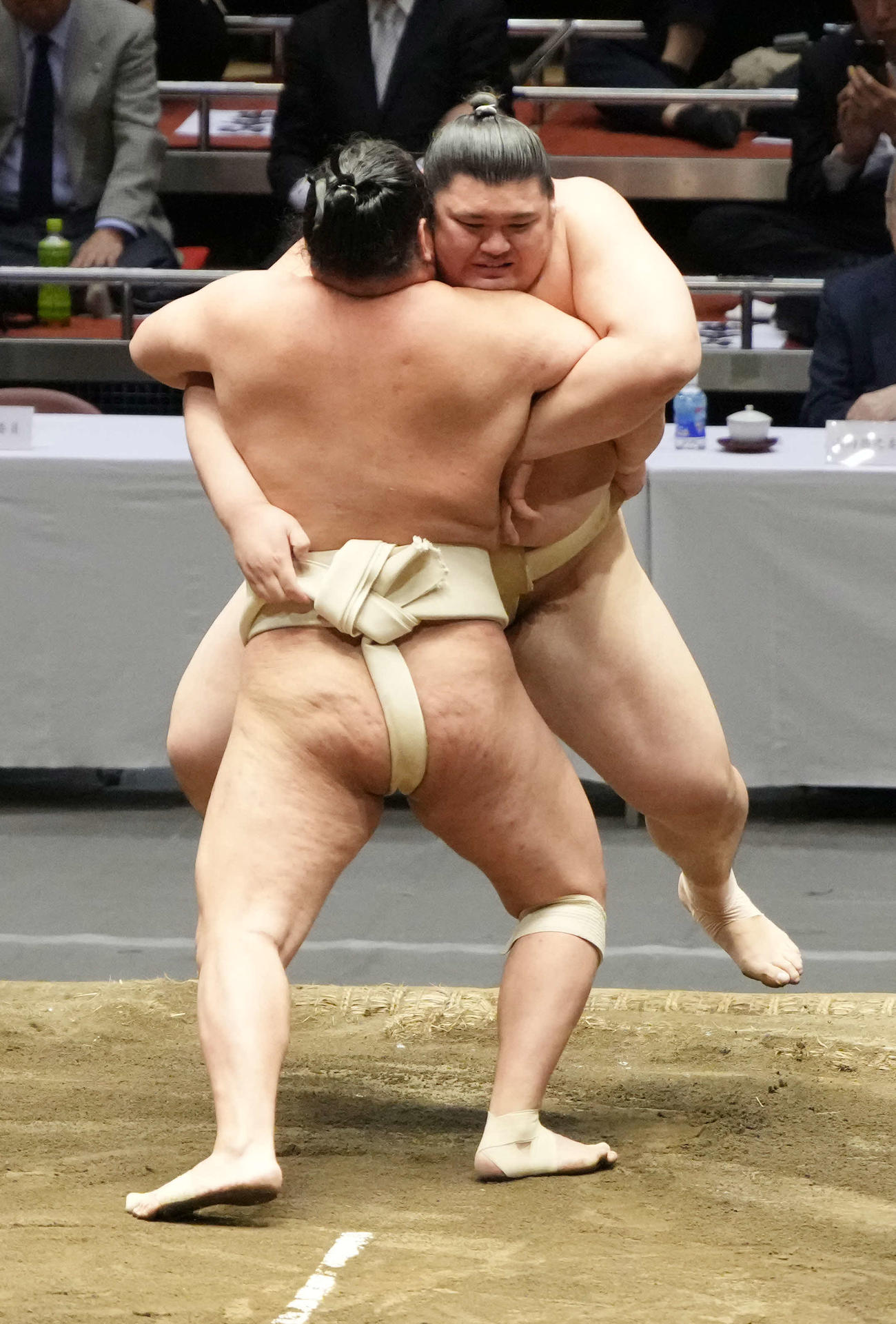 横審稽古総見の申し合い稽古で豊昇龍（手前）につり出される大の里（撮影・小沢裕）