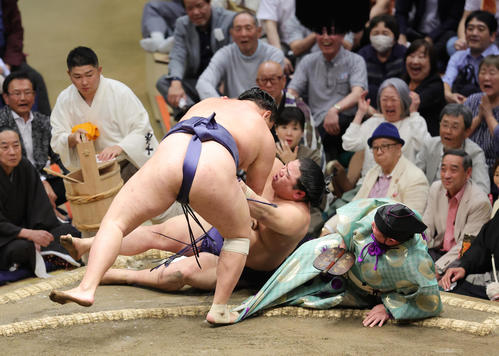 真作/木村庄之助/相撲/行司/天下泰平/布袋屋掛軸HD-863 豊昇龍2人なぎ倒す!? 立行司の木村庄之助は平戸海の足が直撃→倒れて