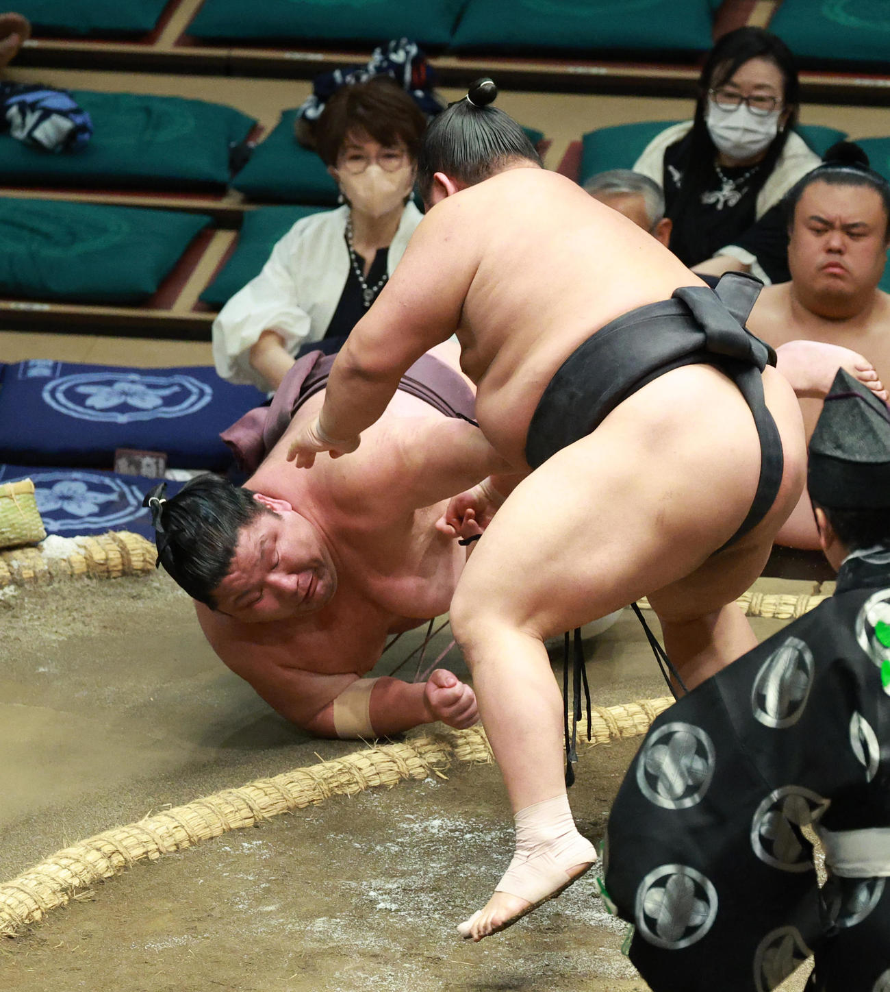 紫雷（左）を小手投げで破る伯桜鵬（撮影・中島郁夫）