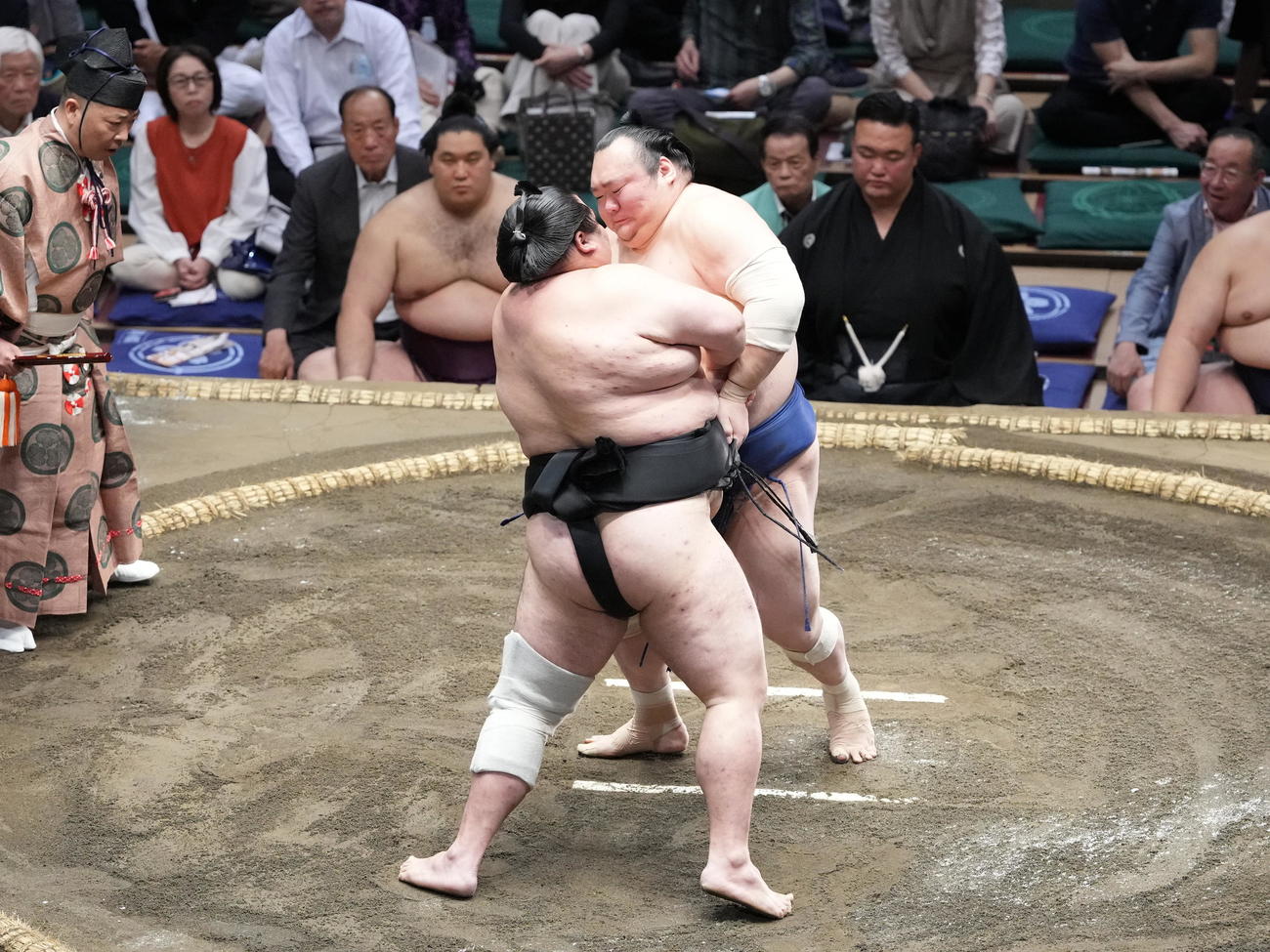 大相撲夏場所5日目、大奄美（左）を攻める宝富士（撮影・小沢裕）