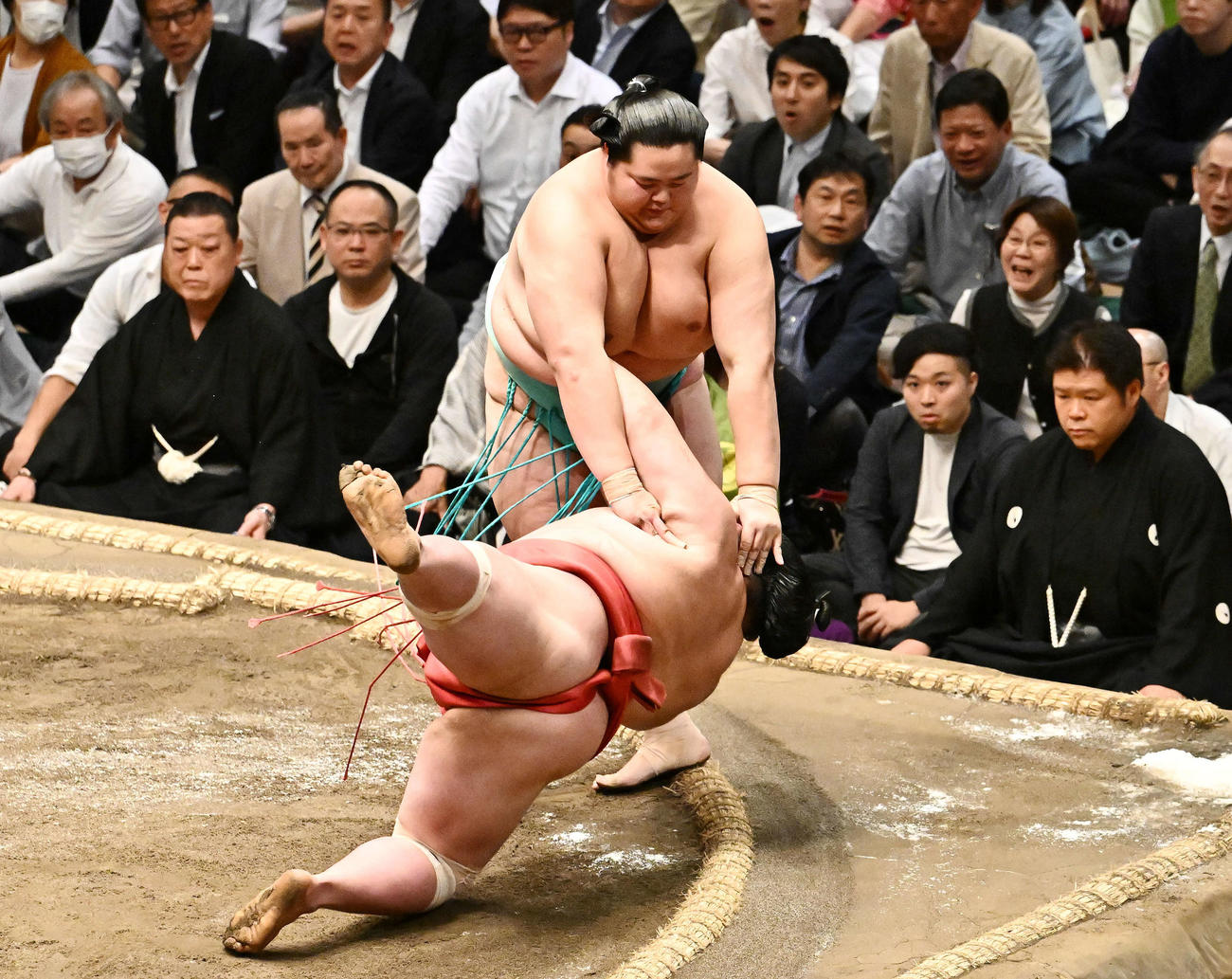 琴桜（上）は阿武咲を突き落としで破る（撮影・滝沢徹郎）